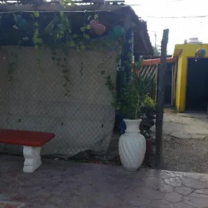 hostal-y-camping-las-g.quintano-roohotels.com/